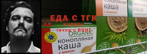 ECSTASY Армянск