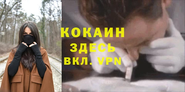 амф Арсеньев