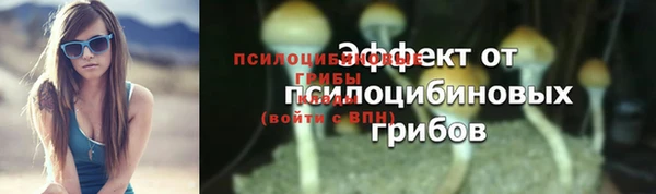 2c-b Аркадак